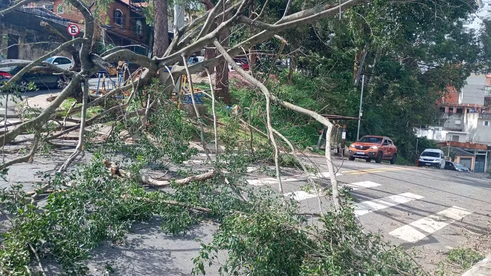 Fortes rajadas de vento derrubam árvores, deixam feridos e mais de 100 mil sem energia na Grande SP