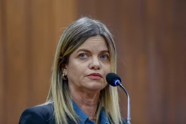 Servidor é exonerado após mensagens em áudio com teor violento e sexual contra deputada do Piauí