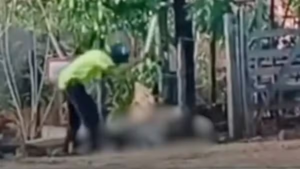 Homem é flagrado agredindo esposa com pedaço de madeira no Maranhão