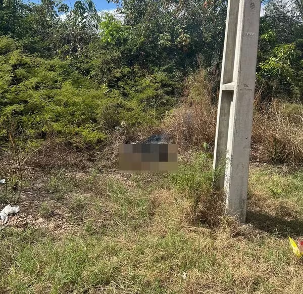 Corpo é encontrado carbonizado na Zona Leste de Teresina; Polícia Civil investiga