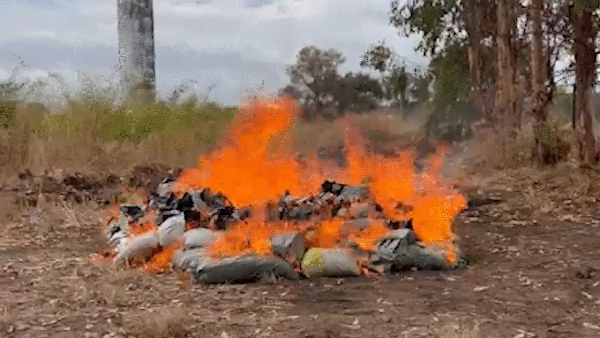 Mais de 1,5 tonelada de drogas apreendidas pela polícia são incineradas em Teresina