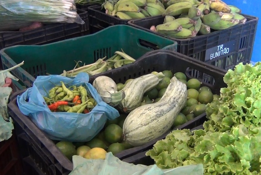 Timbiras recebe primeira compra do PAA-CONAB e reforça apoio à agricultura familiar