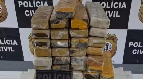 Mulher é presa com 35 barras de maconha em ônibus que vinha do Pará para o Maranhão
