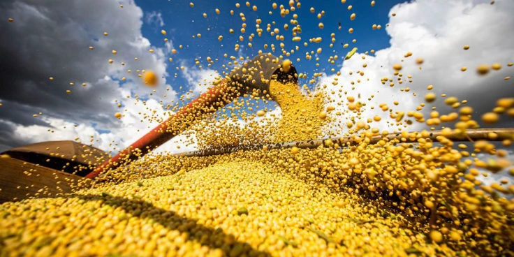 Produção de grãos pode chegar a 358,6 milhões de toneladas, informa Conab